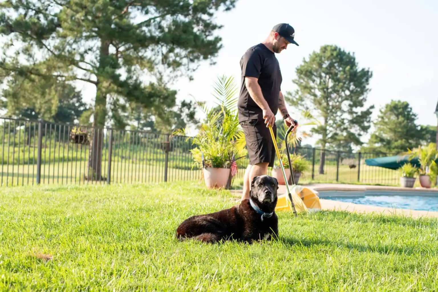 Residential dog poop removal for a clean backyard