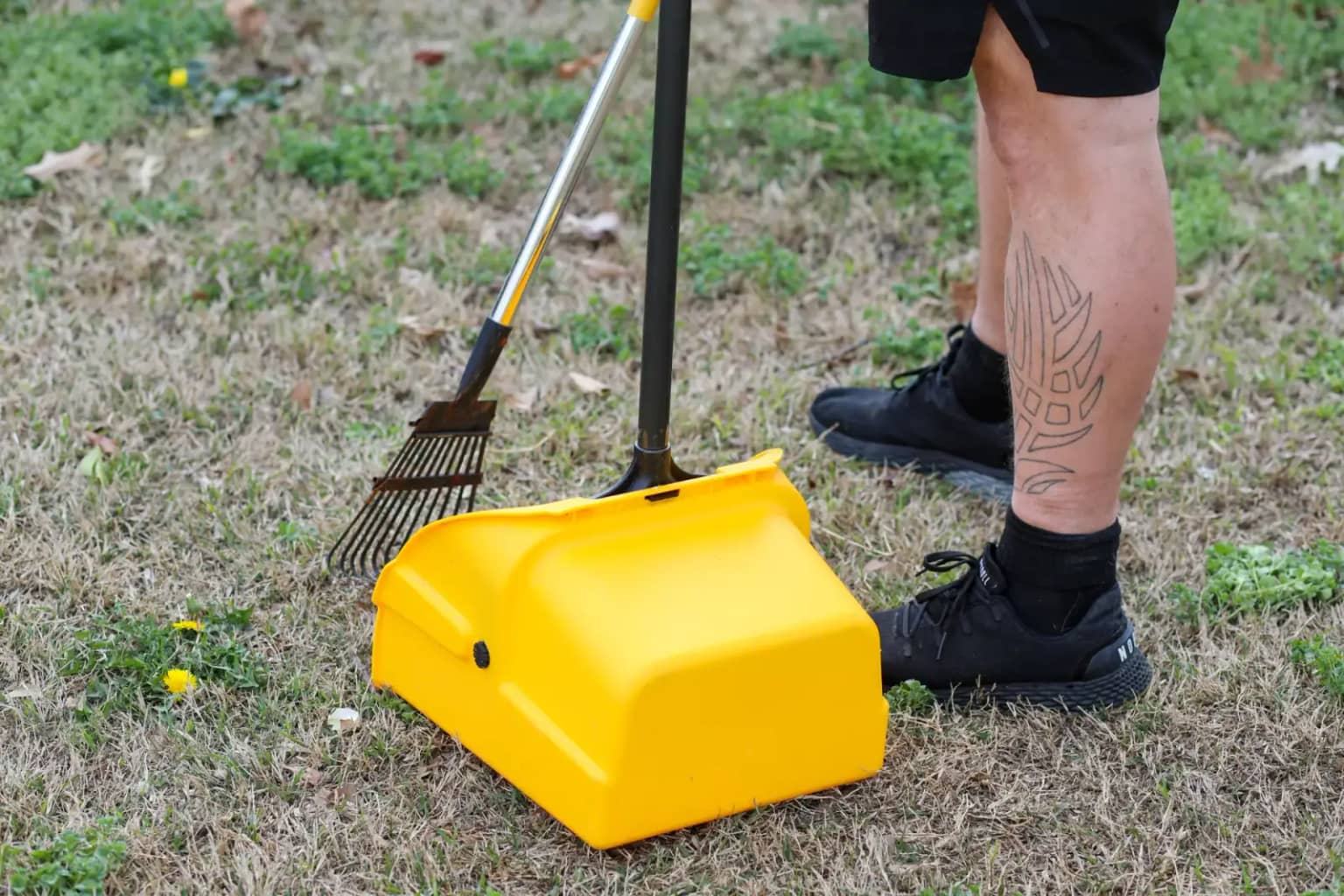 Doggy Scoop cleanup tool removing dog waste from a residential yard