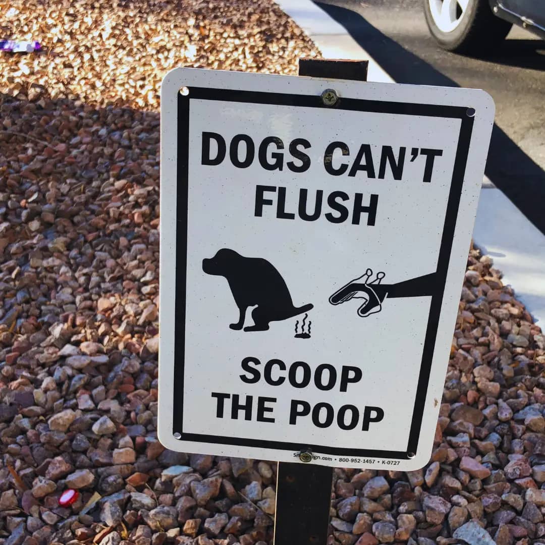 What It's Like Owning a Poop Removal Business in Virginia Beach