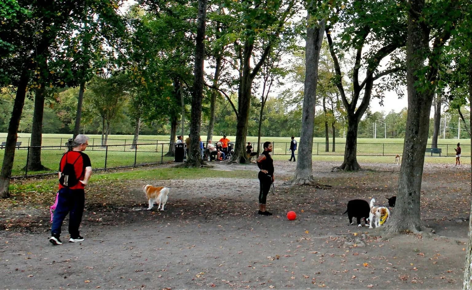 Dog-friendly outdoor area in Virginia Beach