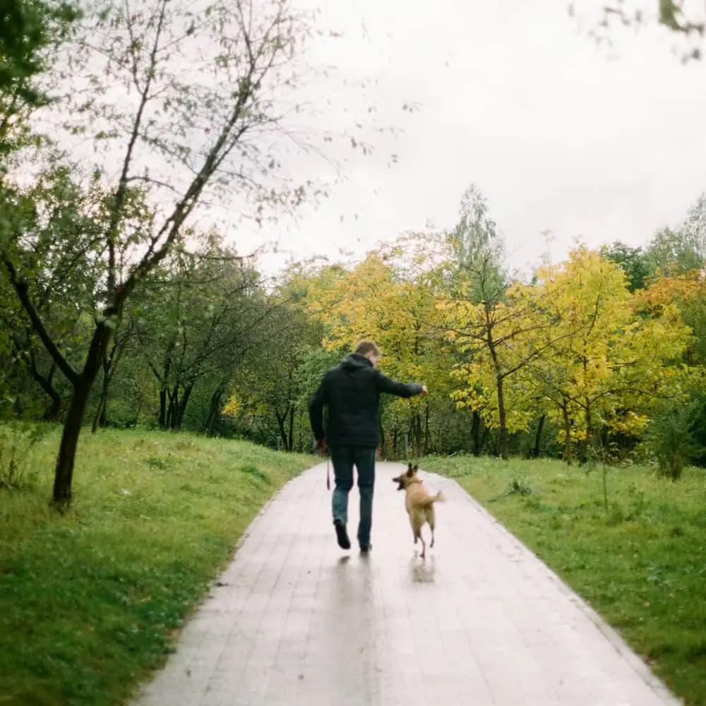 Dog running through a local dog park